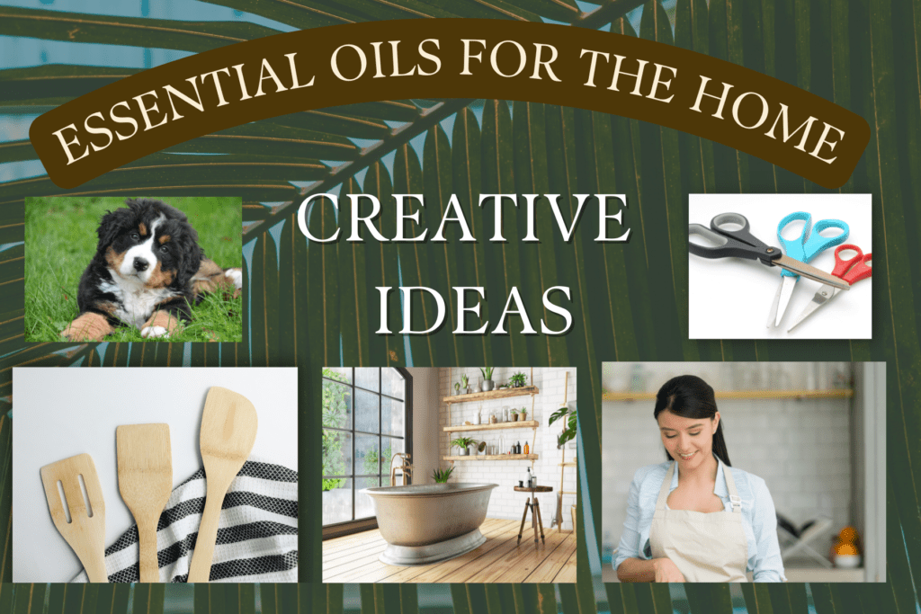 Creative Ideas for Using Essential Oils at Home