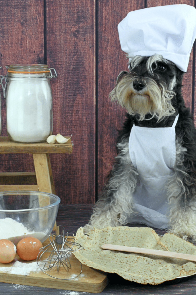 prepare home for puppy in the kitchen