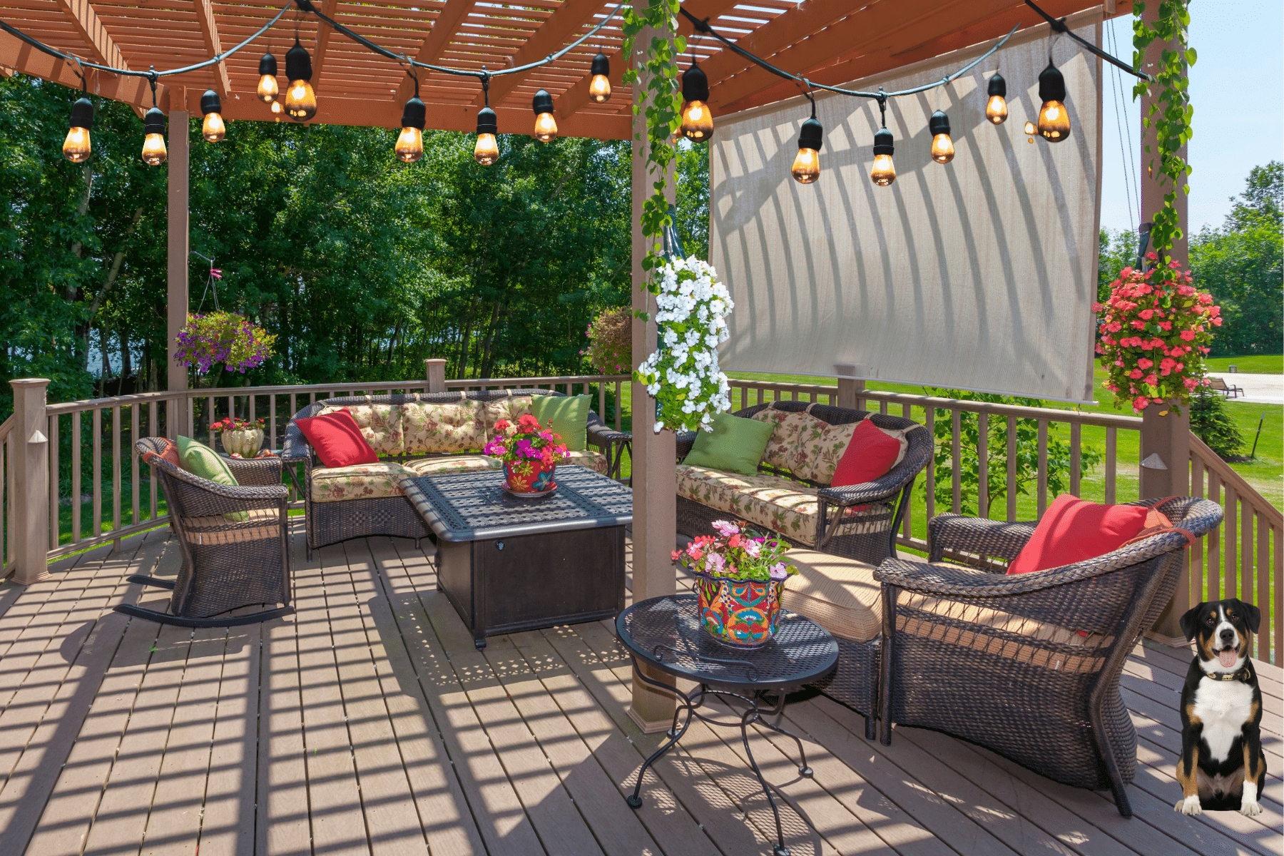 DIY Backyard Privacy Ideas for Patio and Deck with shade