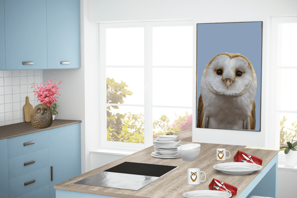 Kitchen Owl Decor Ideas wall art