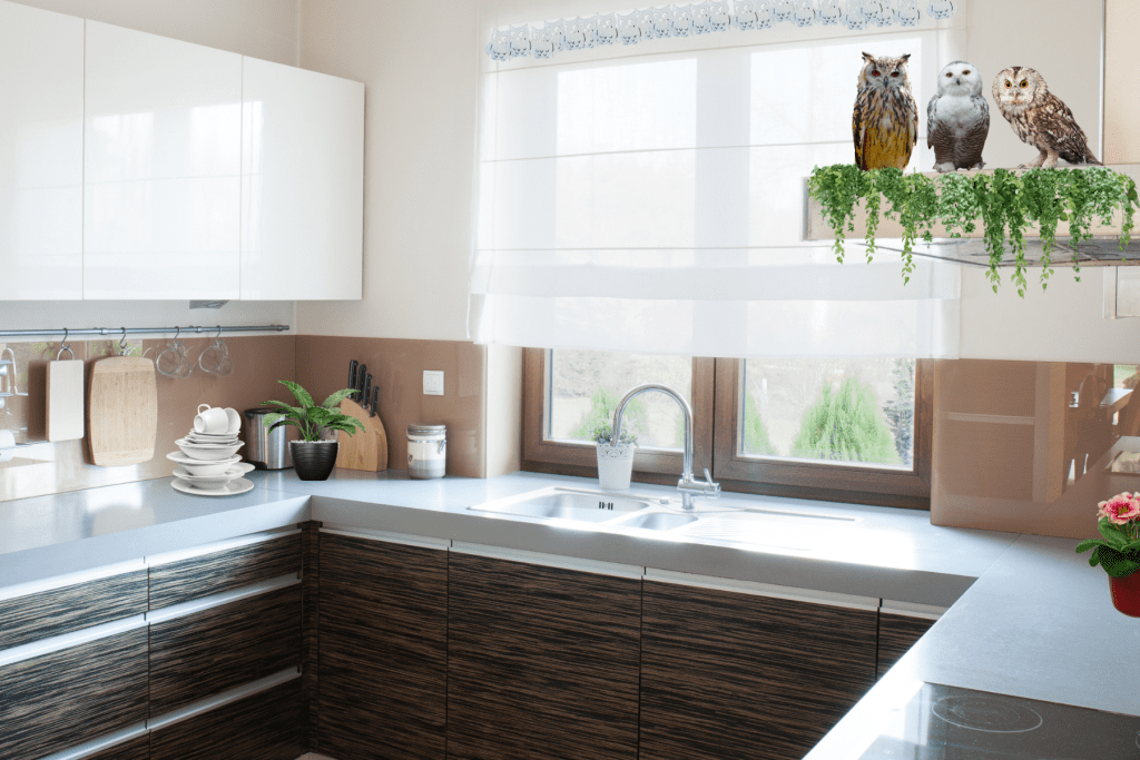 Kitchen Owl Decor Ideas window treatments