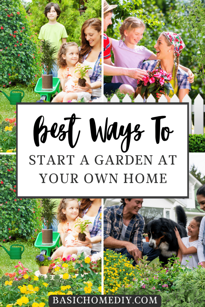 Start a Garden at Your Own Home