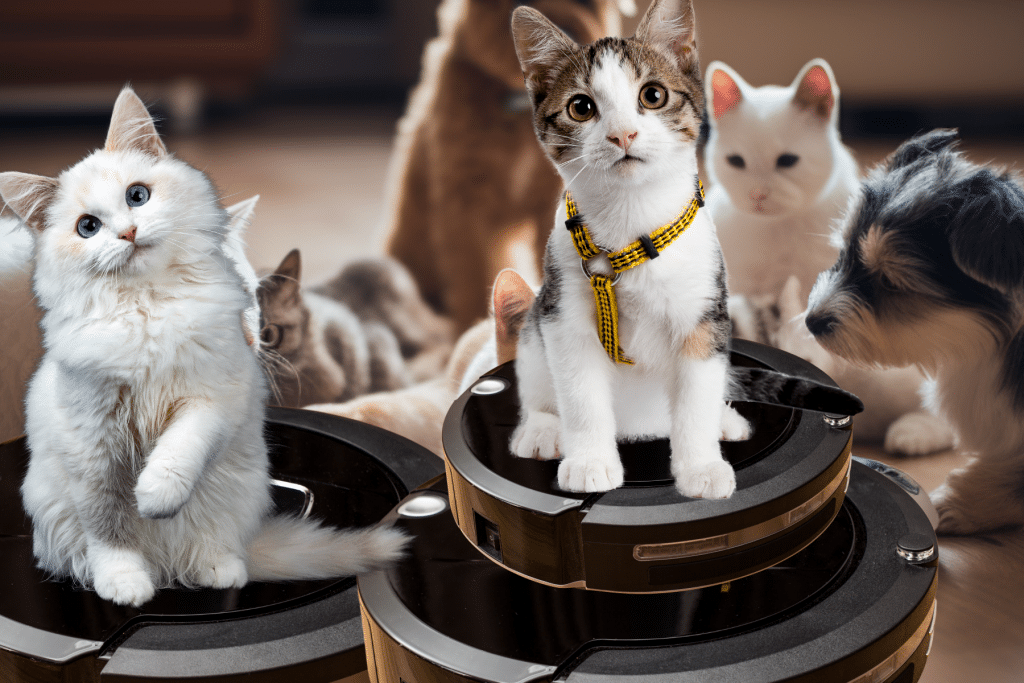 Clean with a robot vacuum for furry friends