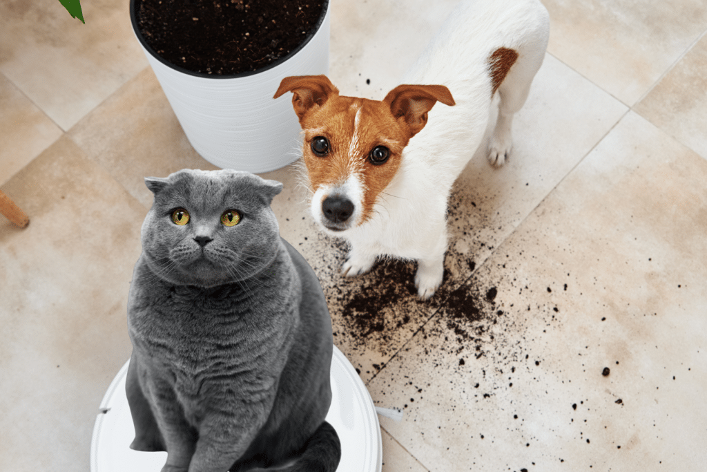 Clean with a robot vacuum for pet messes
