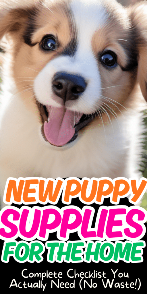 Prepare Home for Puppy_ Easy Tips from a Dog Mom 4
