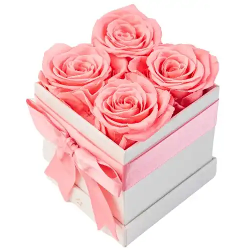 AROMEO Pink Roses, A Gift That Lasts | Fresh Flowers for Delivery, Valentines Day Gifts, Mom, Girlfriend, Wife, Valentine, Birthday, Women Gift. Preserved Fresh Cut Zero Maintenance Roses with Box