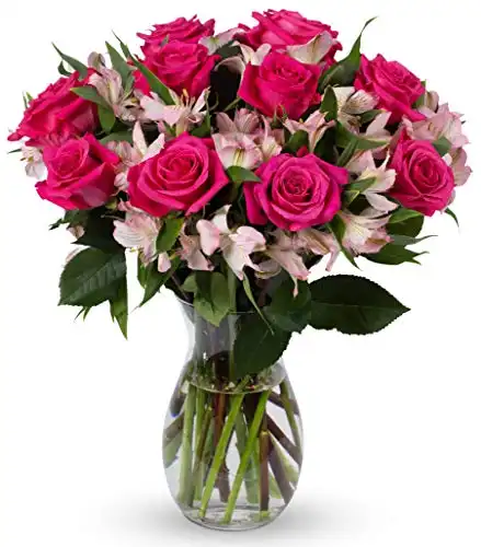 Benchmark Bouquets Charming Roses and Alstroemeria, Next Day Prime Delivery, Farm Direct Fresh Cut Flowers, Gift for Anniversary, Birthday, Congratulations, Get Well, Home Décor, Sympathy, Christmas