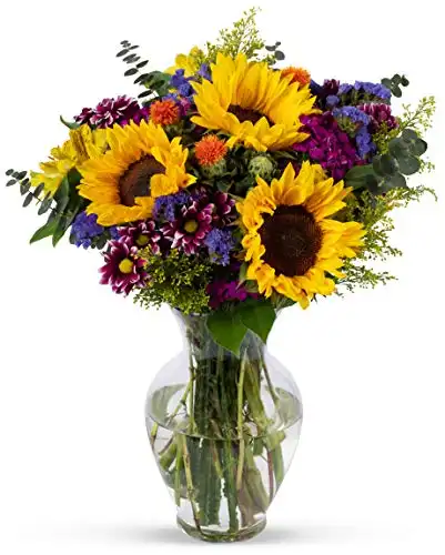 Benchmark Bouquets Flowering Fields, Next Day Prime Delivery, Farm Direct Fresh Cut Flowers, Gift for Anniversary, Birthday, Congratulations, Get Well, Home Décor, Sympathy, Christmas
