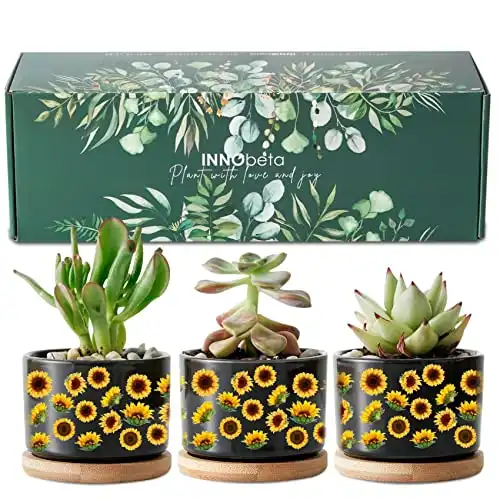 InnoBeta 3pcs Sunflower Planter Plant Pots with Drainages & Wooden Stand Holders, Seamless Sunflower Pattern, Sunflower Gifts for Mom, Grandma, Colleagues, Boss - Black
