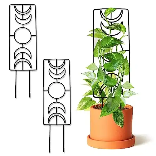 Moon Phase Plant Trellis for Indoor Houseplant, Climbing Plant 17.2" Small Garden Potted Plant Metal Wire Trellis Set of 2