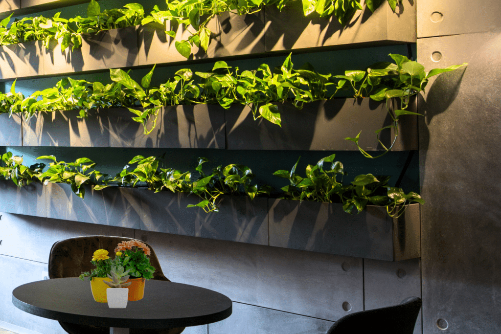 wall plants decor ideas indoor verticle garden with planters