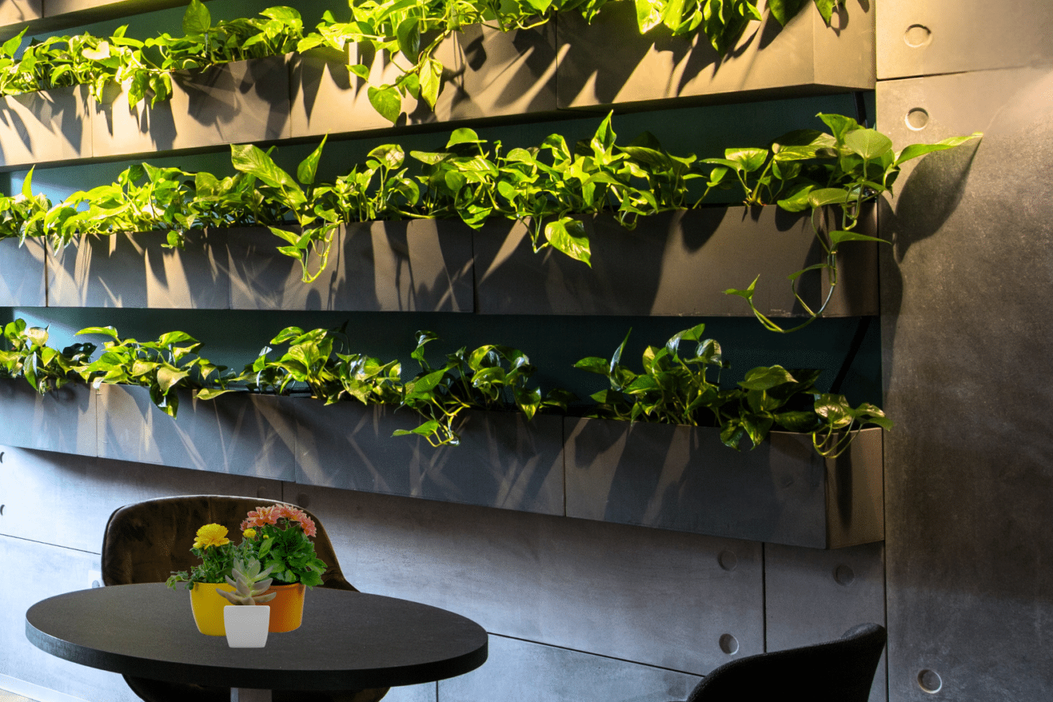 16 Trendy Modern Wall Plants Decor Ideas for the Home - Basic Home DIY