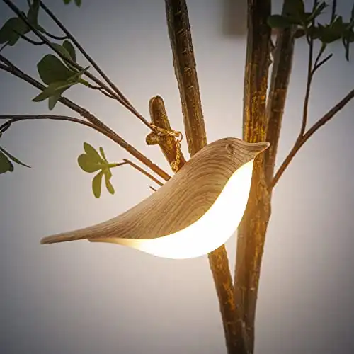 Bird Lamp Night Light for Kids, Bird Table Lamp Small Lamps for Small Spaces With 3 Level Brightness Rechargered Plastic Dimmable Bedside Lamp Nursery Light Desk Lamp for Bedroom, Kitchen, Outdoor