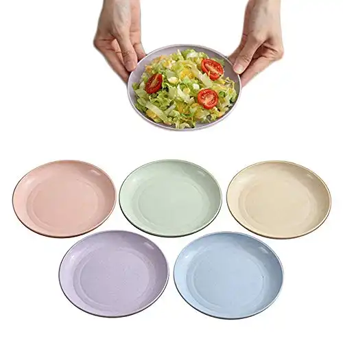 5.9 Inch Appetizer Dinner Plates, Small Serving Cake Dessert Plates, Salad Plates, Charcuterie Accessories, Dipping Sauce Plate, Assorted Colors Dinnerware set of 5, Dishwasher Safe