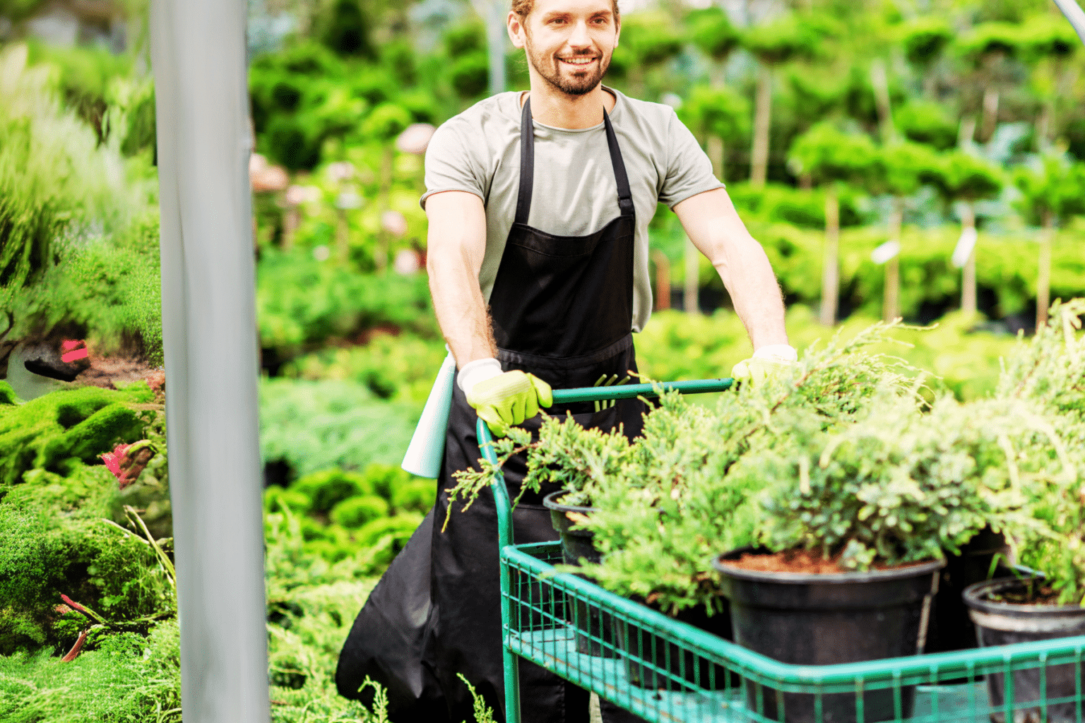 Garden Cart main image 1